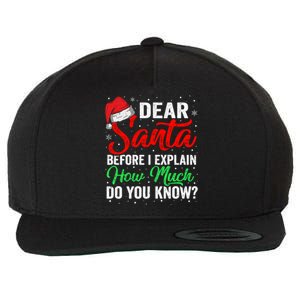 Dear Santa I Can Explain Funny Christmas Gift Adults Gift Wool Snapback Cap