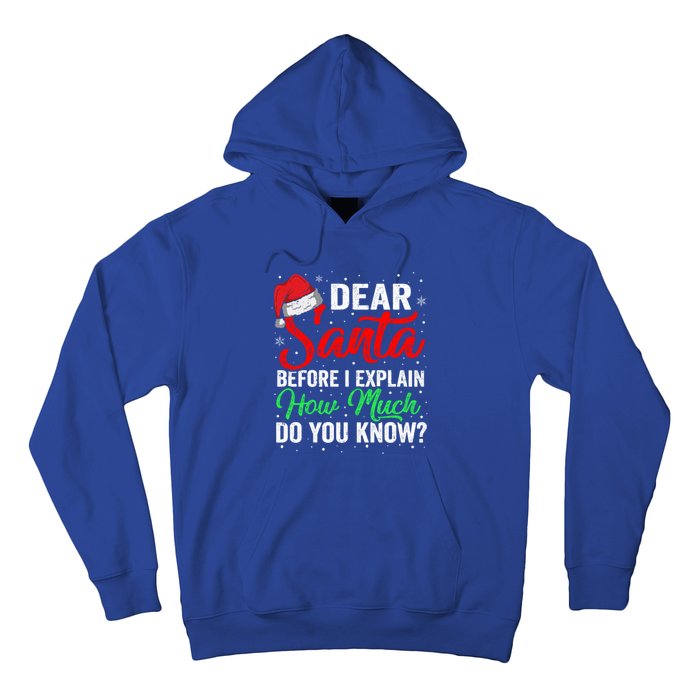 Dear Santa I Can Explain Funny Christmas Gift Adults Gift Hoodie