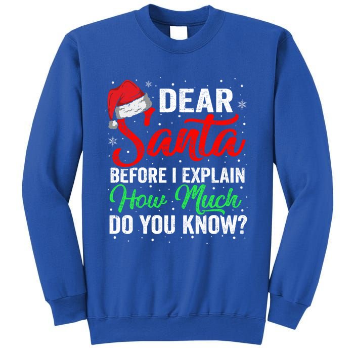 Dear Santa I Can Explain Funny Christmas Gift Adults Gift Sweatshirt