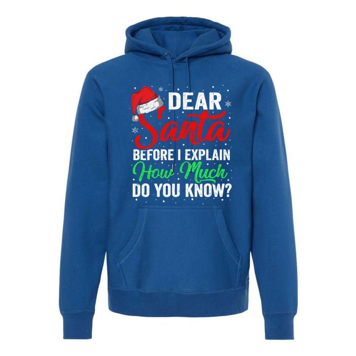 Dear Santa I Can Explain Funny Christmas Gift Adults Gift Premium Hoodie