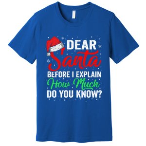 Dear Santa I Can Explain Funny Christmas Gift Adults Gift Premium T-Shirt