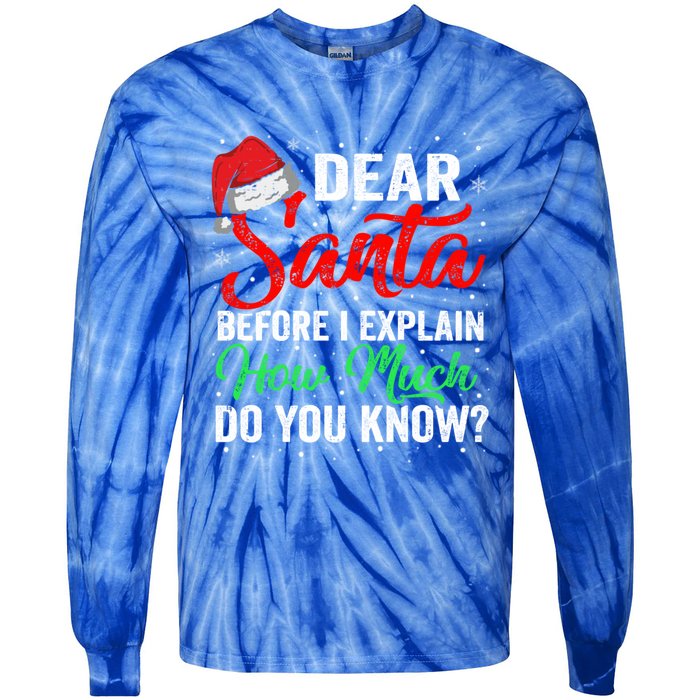 Dear Santa I Can Explain Funny Christmas Gift Adults Gift Tie-Dye Long Sleeve Shirt