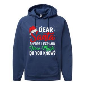 Dear Santa I Can Explain Funny Christmas Gift Adults Gift Performance Fleece Hoodie