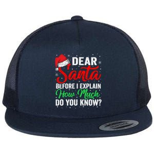 Dear Santa I Can Explain Funny Christmas Gift Adults Gift Flat Bill Trucker Hat