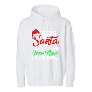 Dear Santa I Can Explain Funny Christmas Gift Adults Gift Garment-Dyed Fleece Hoodie