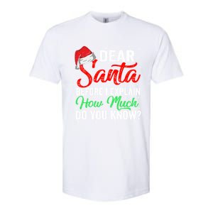 Dear Santa I Can Explain Funny Christmas Gift Adults Gift Softstyle CVC T-Shirt