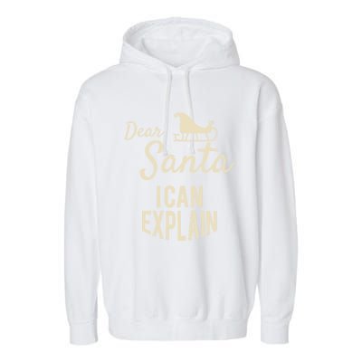 Dear Santa I Can Explain Funny 2019 Christmas Sled Meaningful Gift Garment-Dyed Fleece Hoodie