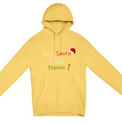 Dear Santa I Can Explain Cool Gift Premium Pullover Hoodie