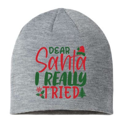 Dear Santa I Really Tried Funny Christmas Sustainable Beanie