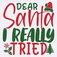 Dear Santa I Really Tried Funny Christmas T-Shirt