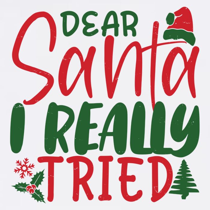 Dear Santa I Really Tried Funny Christmas T-Shirt