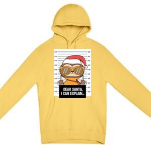 Dear Santa I Can Explain Sloth Criminal Christmas Funny Gift Premium Pullover Hoodie