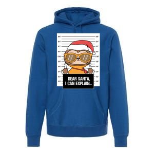 Dear Santa I Can Explain Sloth Criminal Christmas Funny Gift Premium Hoodie