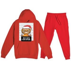 Dear Santa I Can Explain Sloth Criminal Christmas Funny Gift Premium Hooded Sweatsuit Set