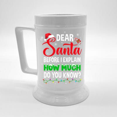 Dear Santa I Can Explain Funny Christmas Adults Gift Beer Stein