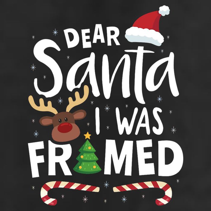 Dear Santa I Was Framed Cool Comfort Performance Bucket Hat