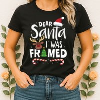 Dear Santa I Was Framed Womens T-Shirt