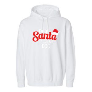 Dear Santa It Was The Dog Funny Christmas Season Dog Lover Cool Gift Garment-Dyed Fleece Hoodie