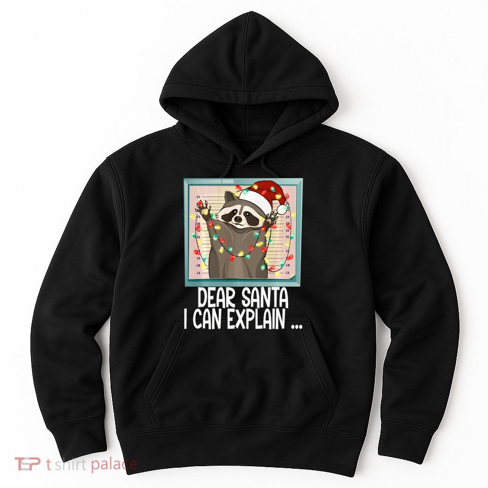 Dear Santa I Can Explain Funny Raccoon Santa Hat Christmas Hoodie
