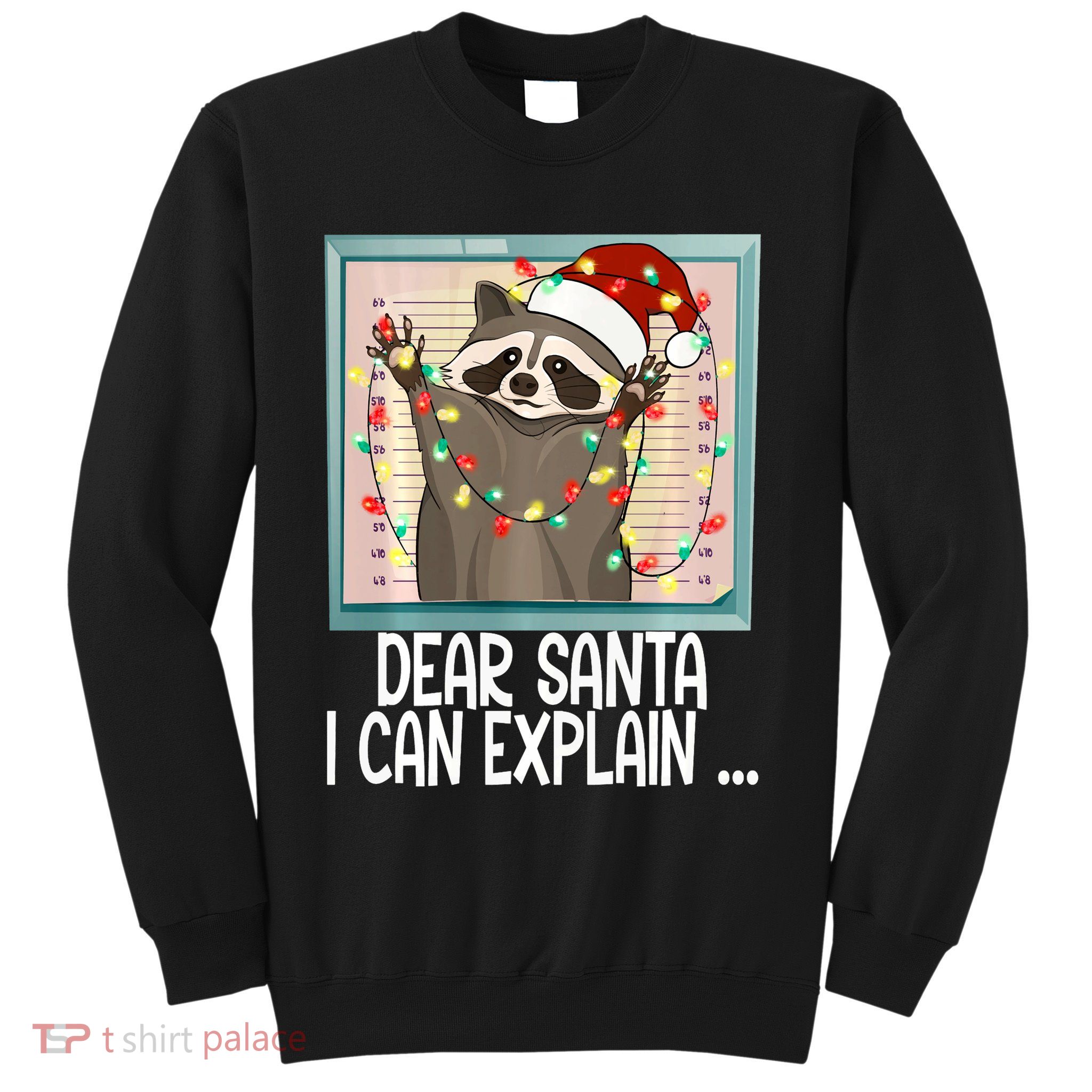 Dear Santa I Can Explain Funny Raccoon Santa Hat Christmas Sweatshirt