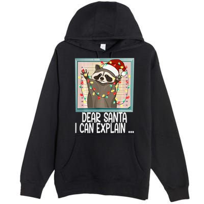 Dear Santa I Can Explain Funny Raccoon Santa Hat Christmas Premium Pullover Hoodie