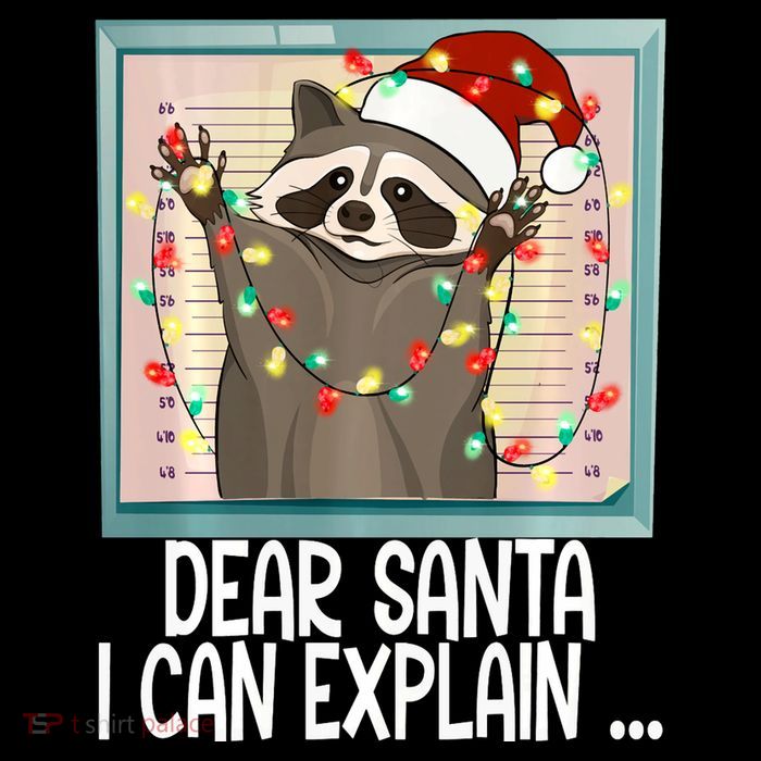 Dear Santa I Can Explain Funny Raccoon Santa Hat Christmas Womens T-Shirt