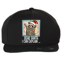 Dear Santa I Can Explain Funny Raccoon Santa Hat Christmas Wool Snapback Cap