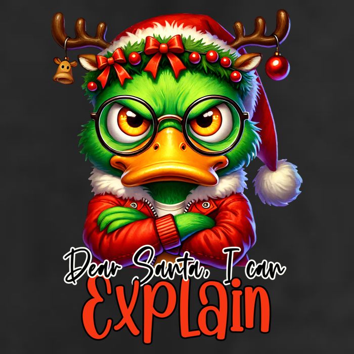 Dear Santa I Can Explain Funny Sarcastic Grumpy Duck Christmas Cool Comfort Performance Bucket Hat