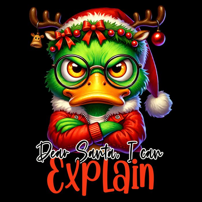 Dear Santa I Can Explain Funny Sarcastic Grumpy Duck Christmas Drawstring Bag