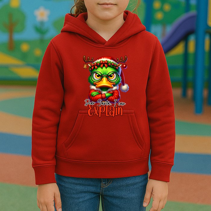 Dear Santa I Can Explain Funny Sarcastic Grumpy Duck Christmas Kids Hoodie
