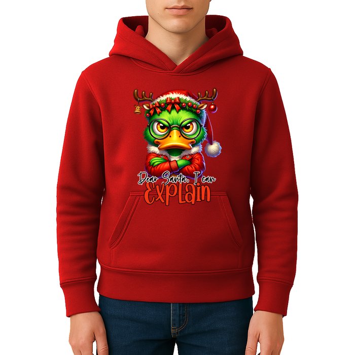 Dear Santa I Can Explain Funny Sarcastic Grumpy Duck Christmas Kids Hoodie