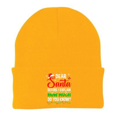 Dear Santa I Can Explain Funny Christmas Adults Gift Knit Cap Winter Beanie