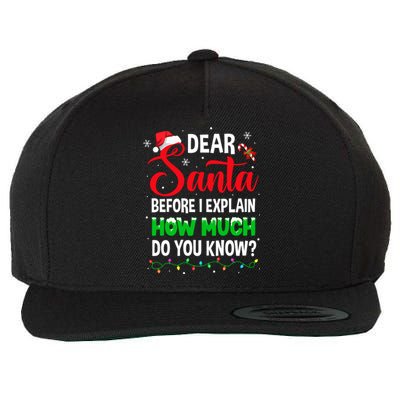 Dear Santa I Can Explain Funny Christmas Adults Gift Wool Snapback Cap