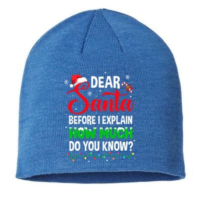 Dear Santa I Can Explain Funny Christmas Adults Gift Sustainable Beanie