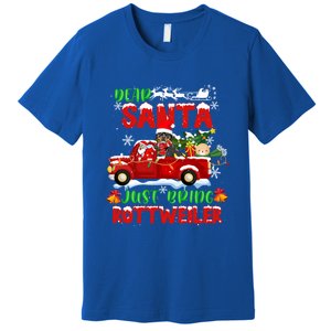 Dear Santa Just Bring Rottweiler Dog Funny Christmas Pajama Funny Gift Premium T-Shirt