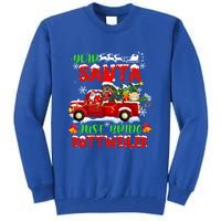 Dear Santa Just Bring Rottweiler Dog Funny Christmas Pajama Funny Gift Tall Sweatshirt