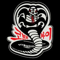 Dojo South Korea Snake Logo Sekai Taikai Kids Hoodie