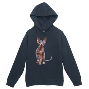 Drawing Sphynx Kitten Urban Pullover Hoodie