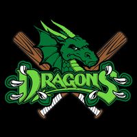 Dragons Sports Logo Toddler Sweatshirt