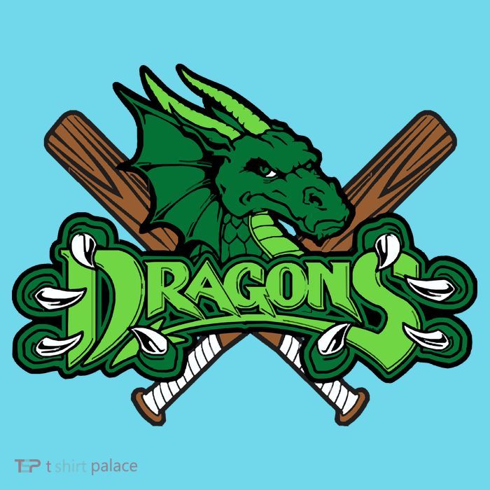 Dragons Sports Logo Womens T-Shirt