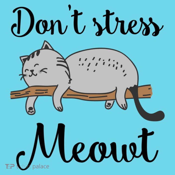 Don't Stress Meowt Funny Saying For Cat Lovers Cool Gift Premium T-Shirt