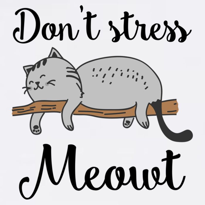 Don't Stress Meowt Funny Saying For Cat Lovers Cool Gift Cooling Performance Crew T-Shirt