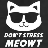Dont Stress Meowt Funny Sarcastic Cat Animal Lover Meaningful Gift 11oz C Handle Ceramic Mug