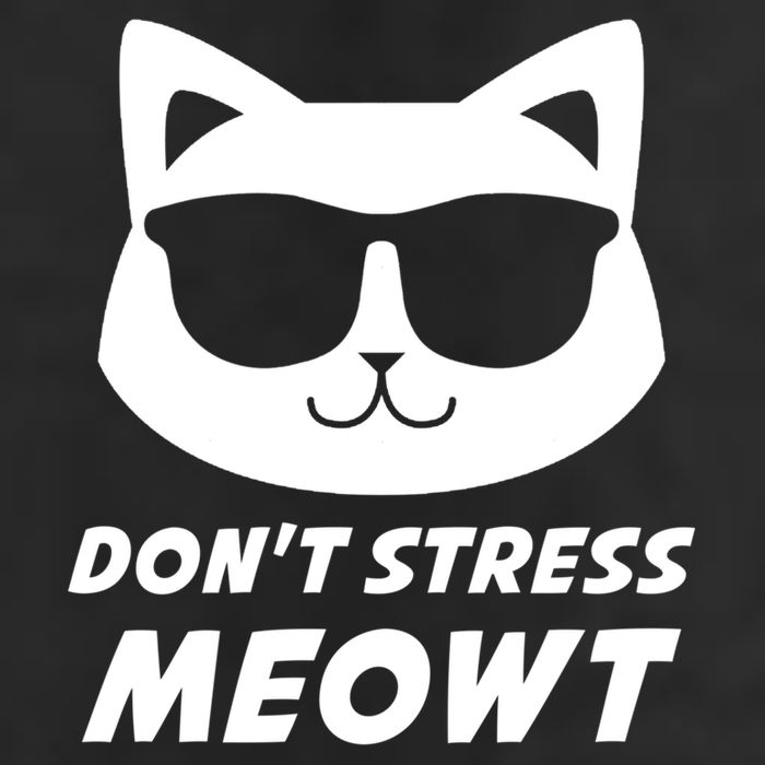 Dont Stress Meowt Funny Sarcastic Cat Animal Lover Meaningful Gift 11oz C Handle Ceramic Mug