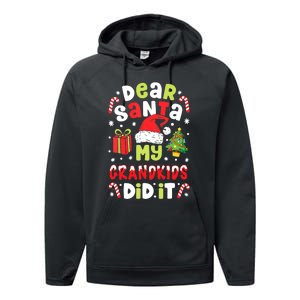 Dear Santa My Grandkids Did It Candy Canes Funny Christmas Performance Fleece Hoodie