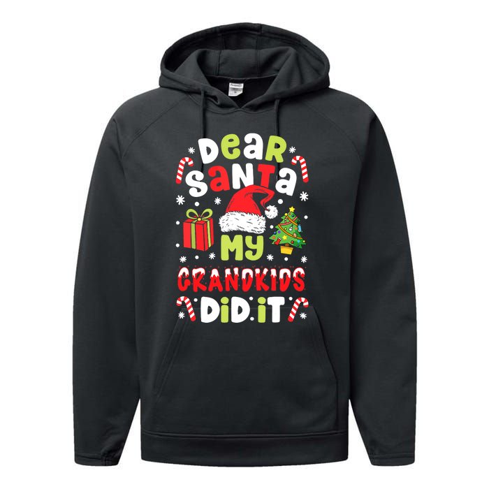 Dear Santa My Grandkids Did It Candy Canes Funny Christmas Performance Fleece Hoodie