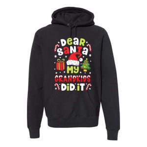 Dear Santa My Grandkids Did It Candy Canes Funny Christmas Premium Hoodie