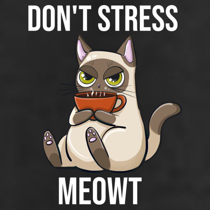 Dont Stress Meowt Funny Sarcastic Coffee Cat Gift 7 Panel Mesh Trucker Snapback Hat