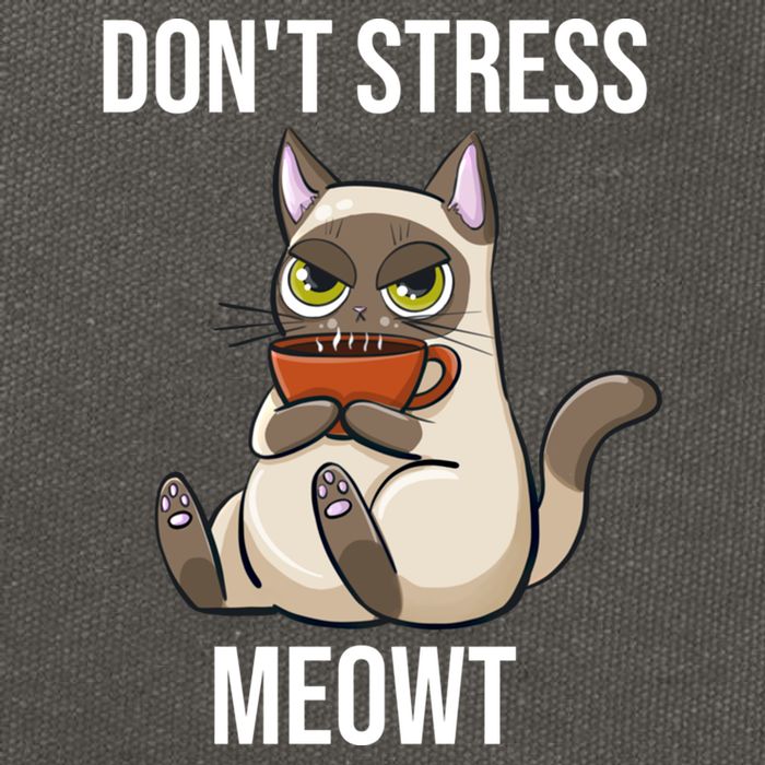 Dont Stress Meowt Funny Sarcastic Coffee Cat Gift Cotton Canvas Backpack