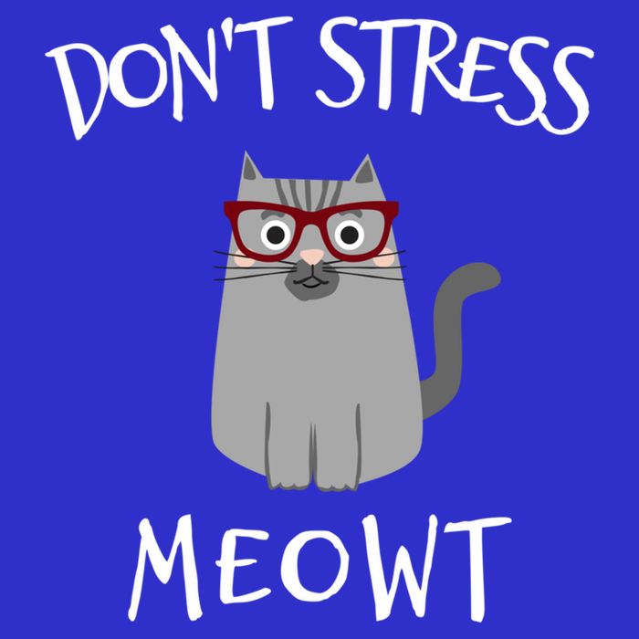 Don't Stress Meowt Funny Cat Lover Gift 16 in Basic Backpack